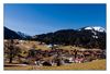 Obermaiselstein (Allg&auml;u)
