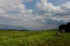 Landschaft im Allg&auml;u