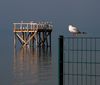 Hagnau, Bodensee