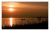 der Bodensee im Abendlicht