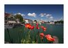 Lindau