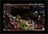 auf der Insel Mainau: Bepflanzung eines alten Fernsehers
