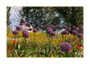 Blumenbeete auf der Insel Mainau