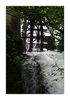 altes Mühlrad, Rheinfall in Schaffhausen