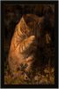 Katze