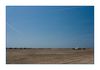 am Strand von Salin-de-Giraud
