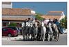Gardians reiten mit ihren Camarguepferden V-förmig durch die Stadt.