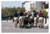 Gardians reiten mit ihren Camarguepferden V-förmig durch die Stadt.