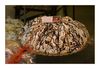 Torte mit Nougat in einer Schaufensterauslage
