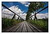 Steg zum Federsee