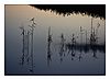 Federsee im Abendlicht