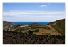 Collioure mit Weinbergen