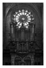 Die Orgel, Kathedrale Saint-Nazaire, Beziers