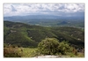 Blick vom Rocher de Sampzon auf die Landschaft der Ardeche