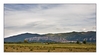 Landschaft an der Durance bei Thèze, Alpes-de-Haute-Provence