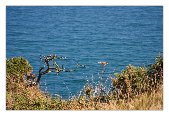 Steilk&uuml;ste, Pointe du Hoc, Calvados, Normandie
