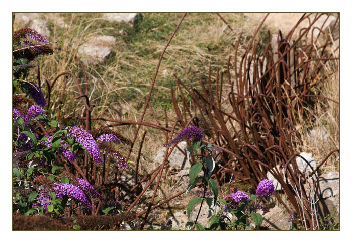 Bombentrichter, Gedenkst&auml;tte Pointe du Hoc