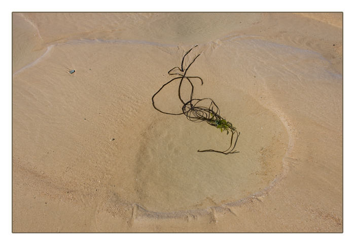 Strand bei Ebbe, Le Rozel, Halbinsel Cotentin