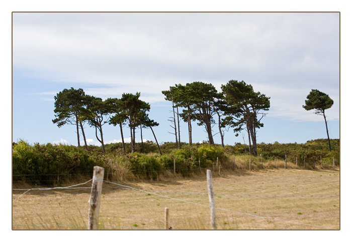 Landschaft bei Agon-Coutainville, Halbinsel Cotentin