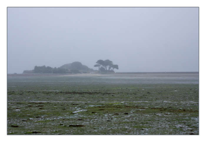 Blick zur kleinen Insel l'Ilot St. Anne bei Ebbe und Nebel, Saint-Pol-de-L&eacute;on