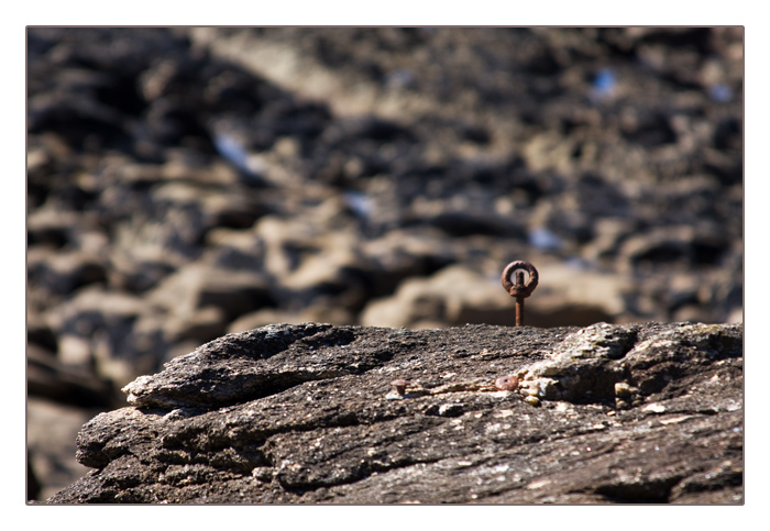 Stillleben am Felsenstrand, C&ocirc;te Sauvage, Halbinsel Quiberon