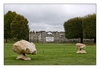 Kunstausstellung und alte Mauer im Schlosspark Château Chambord, Loireregion, Frankreich