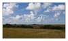 Landschaft auf der Halbinsel Cotentin, Manche, Normandie