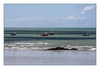 Austern- und Muschelfischerboote, Pirou Plage, Halbinsel Cotentin, Manche, Normandie