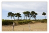 Landschaft bei Agon-Coutainville, Halbinsel Cotentin, Manche, Normandie