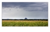 erster Blick auf Le Mont-Saint-Michel, Halbinsel Cotentin, Manche, Normandie