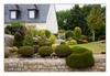 schöner Garten mit kunstvoll geschnittenen Sträuchern, Tréguier, Côtes-d’Armor, Bretagne