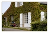 Haus mit wildem Weinlaub-Fassade, Camaret-sur-Mer, Halbinsel Crozon, Finist&egrave;re, Bretagne