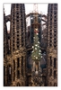 Lebensbaum (Mitte) über der Weihnachtsfassade der Sagrada Família