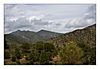 das Albera Massif, Provinz Girona, Pyrénées-Orientales, Spanien