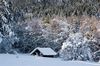 Winterlandschaft, Tennsee