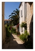 Gasse in Osor, direkt am Kanal zwischen der Insel Cres und Lošinj (Losinj), Kroatien