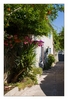 Altstadtgasse von Osor, am Kanal zwischen der Insel Cres und Lošinj (Losinj), Kroatien