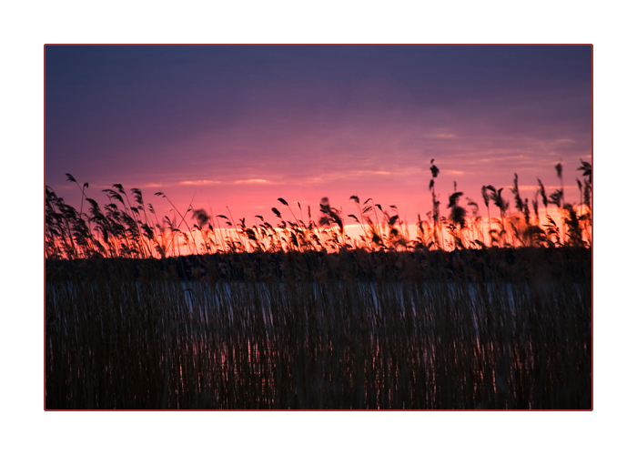 Sonnenuntergang am Plauer See, Mecklenburg vor Pommern