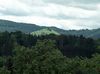 Blick auf die Limburg und die Alb