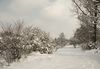 Ausblick aus dem Fenster im Winter