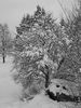 Ausblick aus dem Fenster im Winter