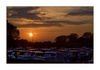 Sonnenuntergang am Hafen, Geldermalsen