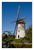 Windmühle in Geldermalsen