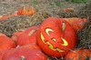 K&uuml;rbisse (Halloween-K&uuml;rbis)