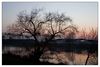 Sonnenuntergang an der Kinzig bei Kehl