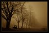 Allee im Nebel (Oberkirch), umgestaltet