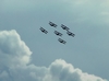 Formationsflug