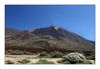 Pico del Teide, Teneriffas höchster Vulkan (3.718m ü.d.M.)