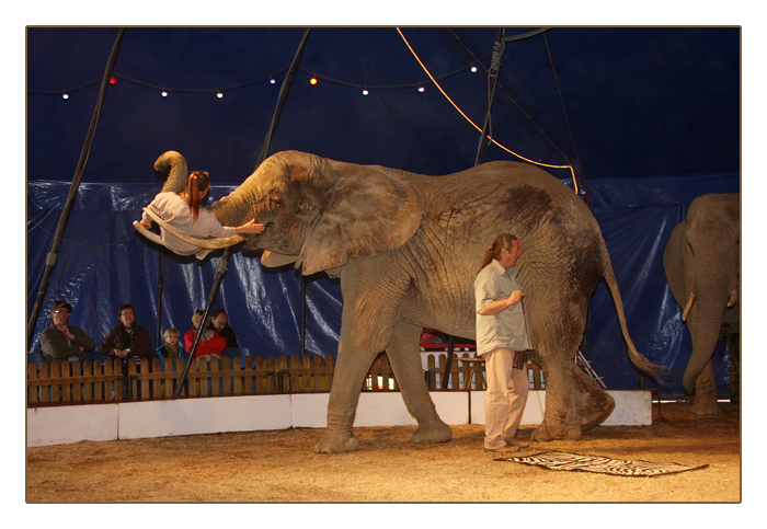 Nadja wird mit dem Elefantenrüssel getragen