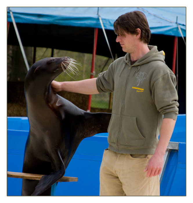 Seelöwe mit Erwin Frankello